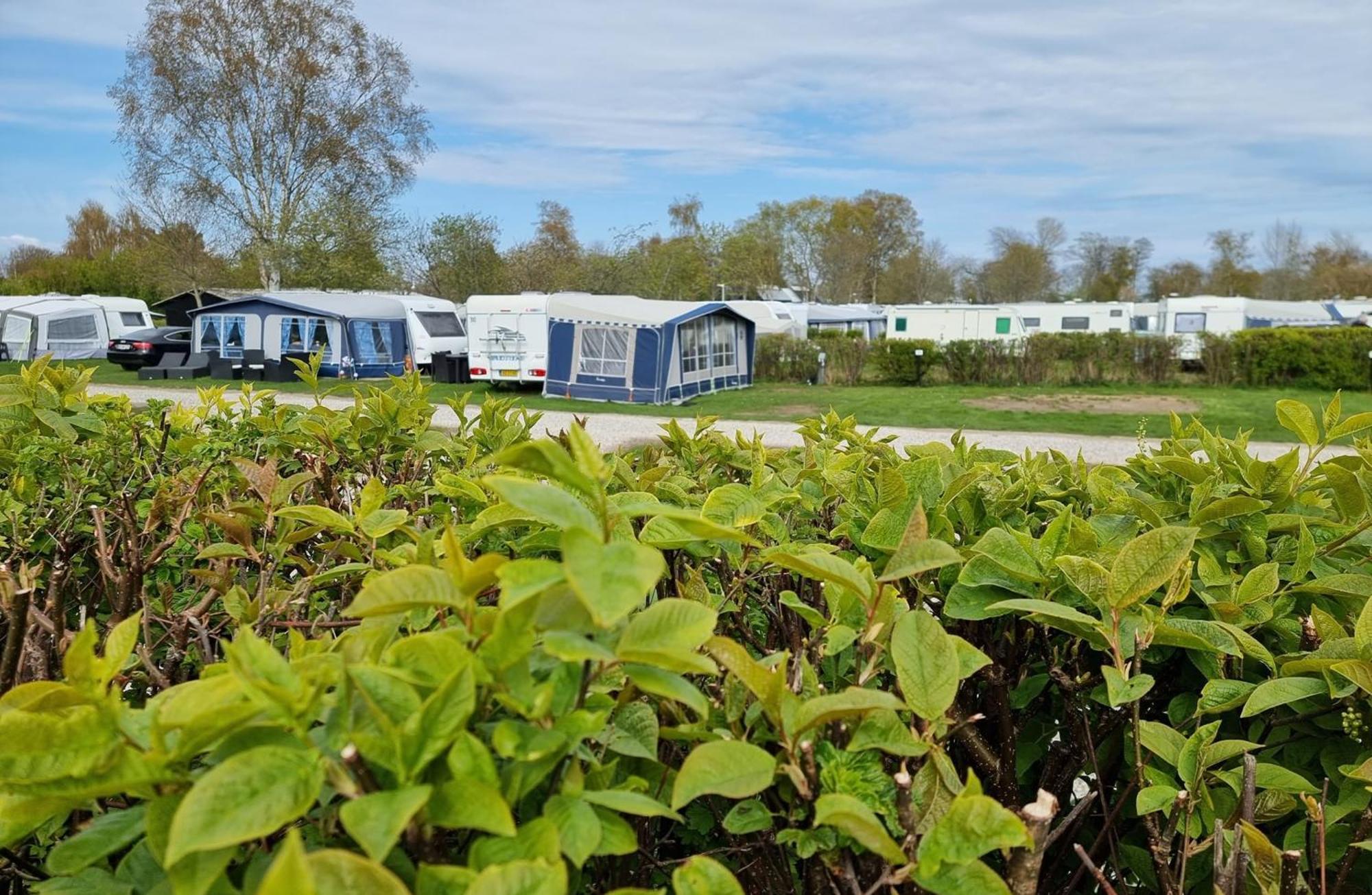 First Camp Ajstrup Campsite